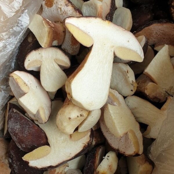 Белый гриб половинки боровой (Гайны)